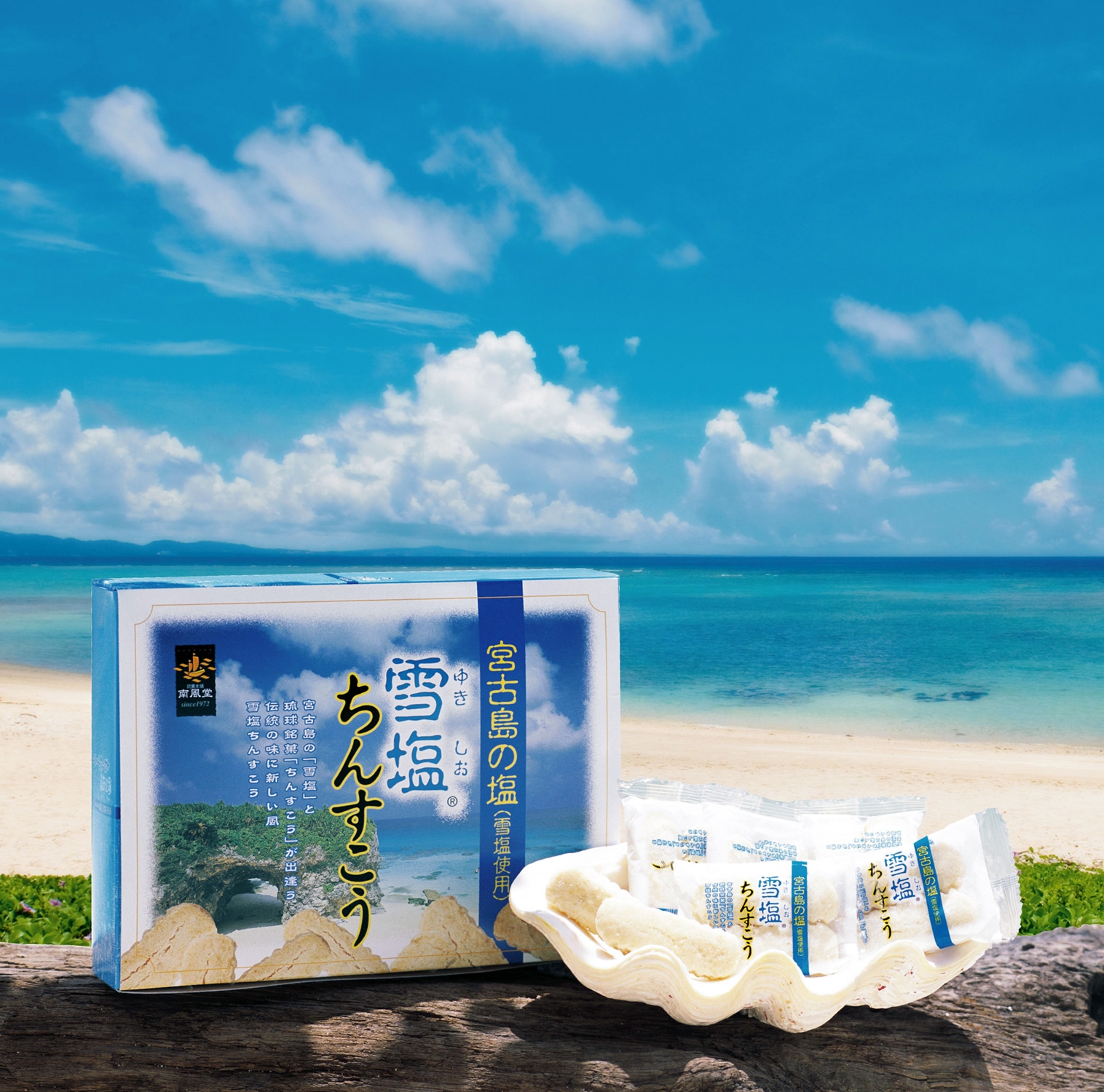 【中古】 雪の積む里/文芸社/清め野塩 Amazon.co.jp: 雪塩ちんすこう (大) 48個入り(2×24袋) : ホーム